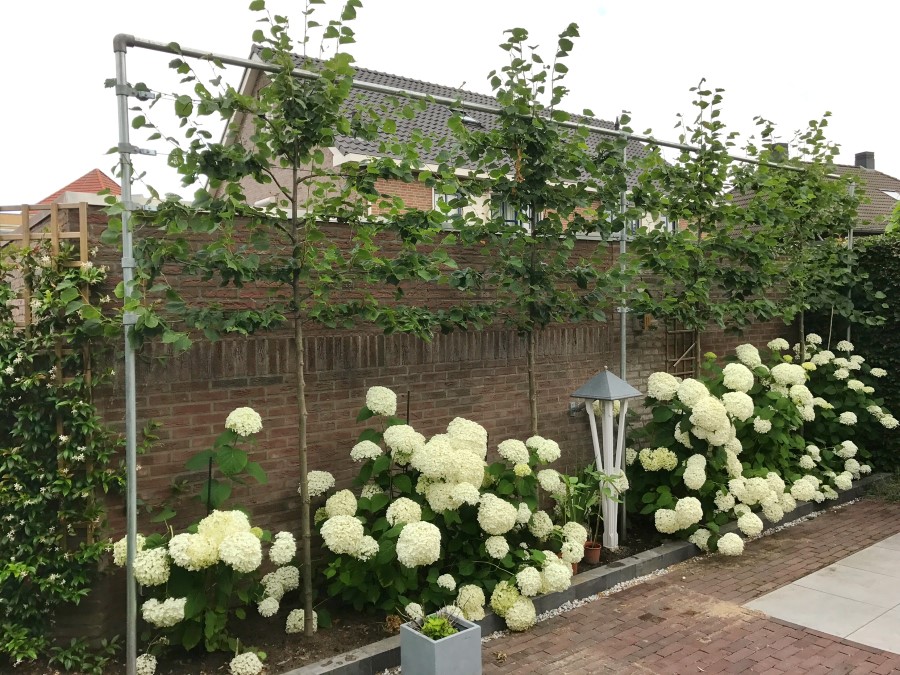 Garten & Balkon | Inspiration | Moduworx®